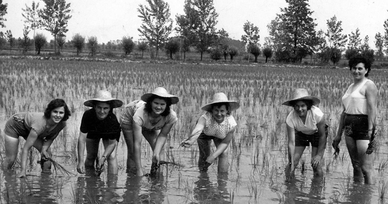 Con i piedi nell’acqua.Regione Lombardia approva il progetto di Barabàn